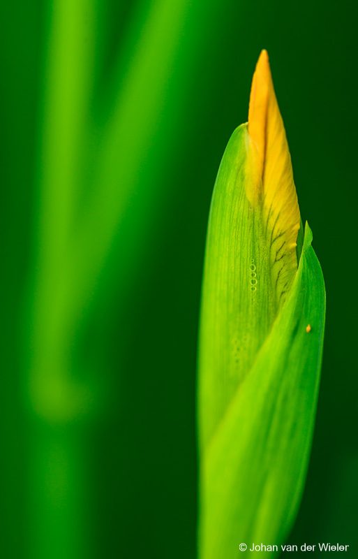 MindBody Ergotherapie, Post-Covid en ALK